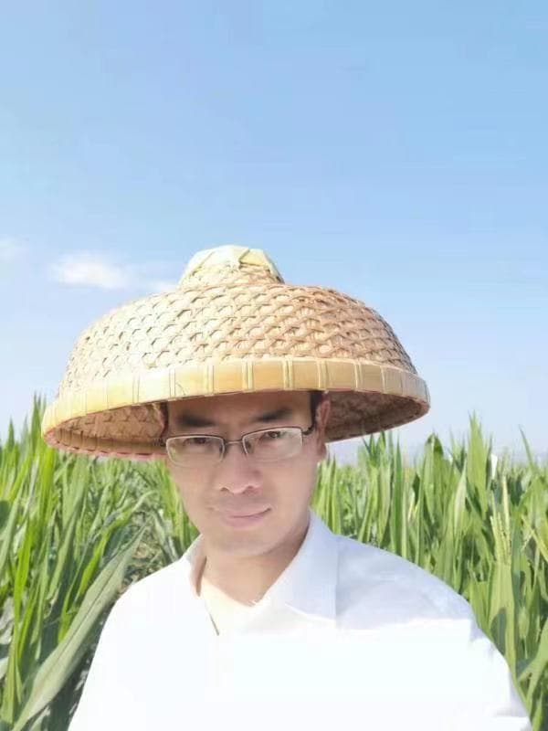 刘涵