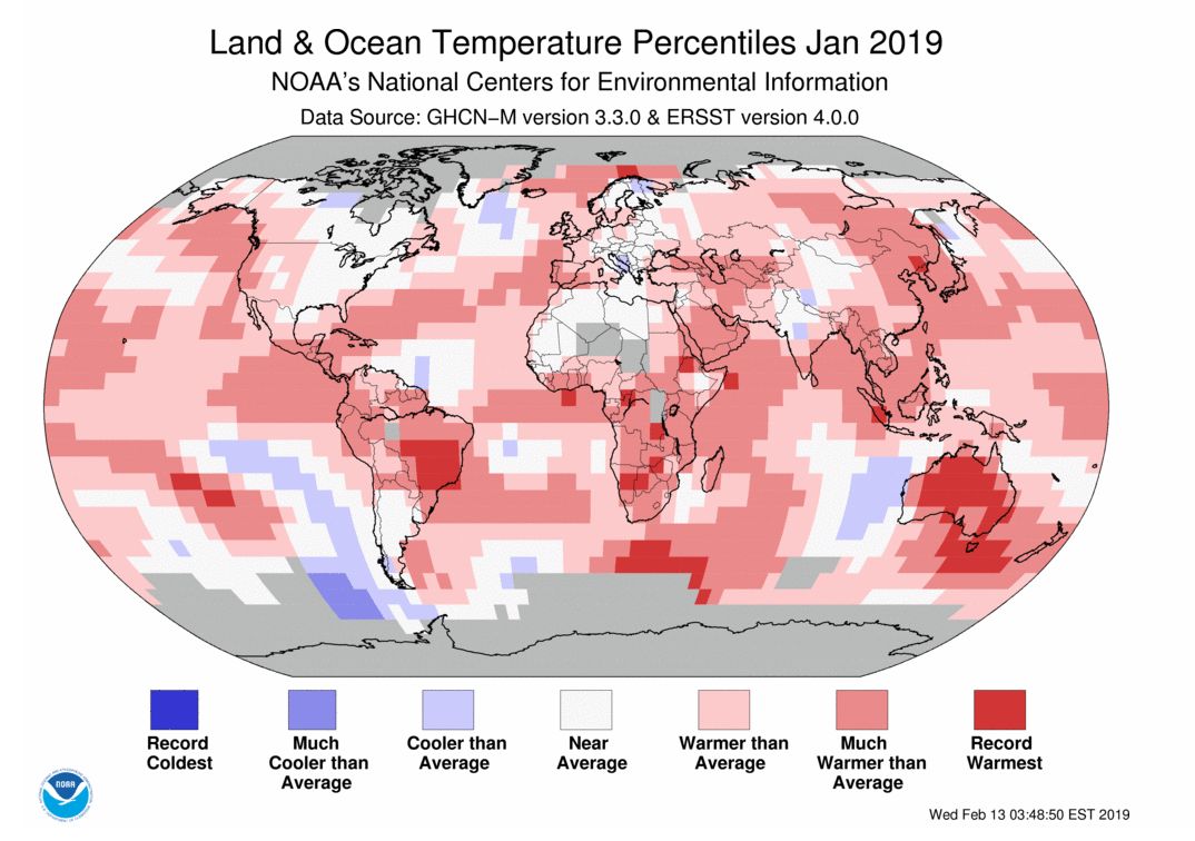 NOAA发布的2019年1月陆地与海洋温度距平分布图