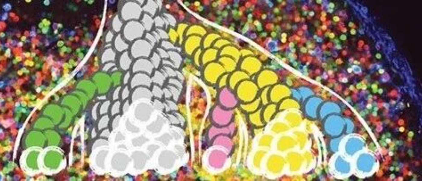 中性理论pk自然选择?群体基因组学时代,有50年历史的经典学说是否过时了?:来源封面