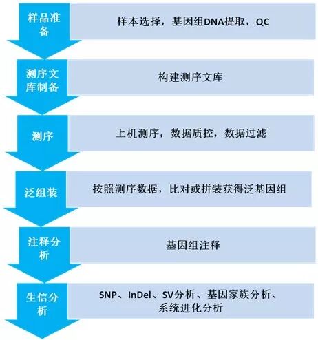 泛基因组研究技术路线