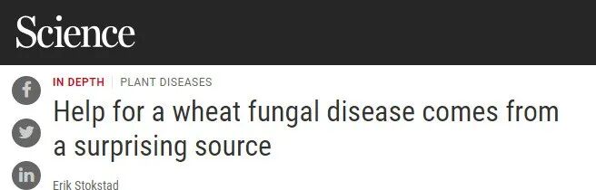 Science同期观点文章题名